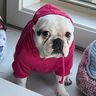 @pavlovspets:matrix.org