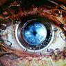 @blujaxian:matrix.org