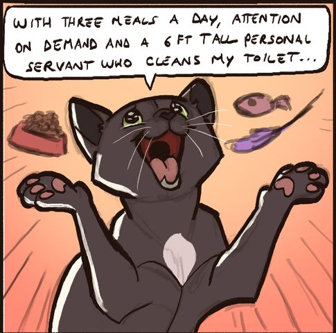 02 housecat tradeoff - by arven92.jpg