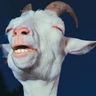@riot_goat:matrix.org