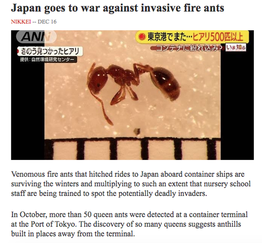 Screen Shot 2019-12-16 at 12.11.08.png