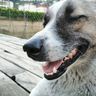 @seaoth:matrix.org
