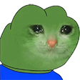 Pepecatcry.png
