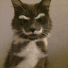 @gitter_moschroe:matrix.org
