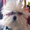 @mu22le:matrix.org