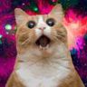 @gitter_phansch:matrix.org