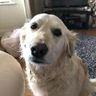 @gitter_jimmycoyne:matrix.org