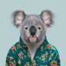 @gitter_koalageo:matrix.org