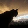 @gitter_arthurix:matrix.org