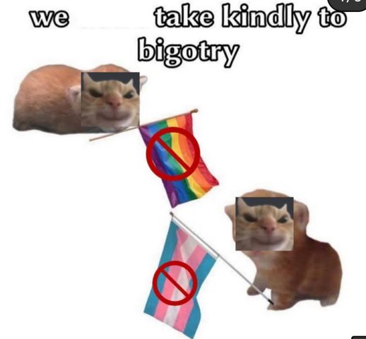 181818182716.jpg