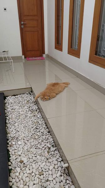 c1ec19a0.jpg