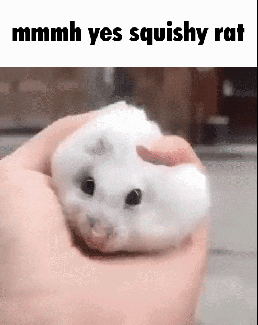 9fb21179.gif