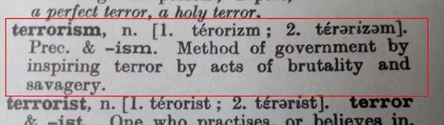 terrorism original definition.webp