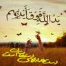 @telegram_905954138:nil.im