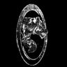 @telegram_5145075207:nil.im