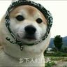 @telegram_654225923:nil.im