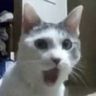 @telegram_1394661983:nil.im