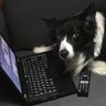 @henry:nilsu.org