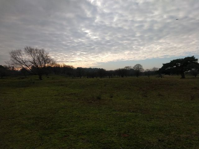IMG_20201128_124537582.jpg