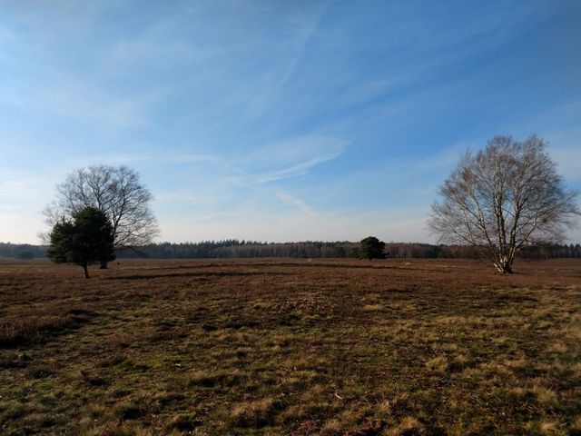 IMG_20201125_121424216.jpg