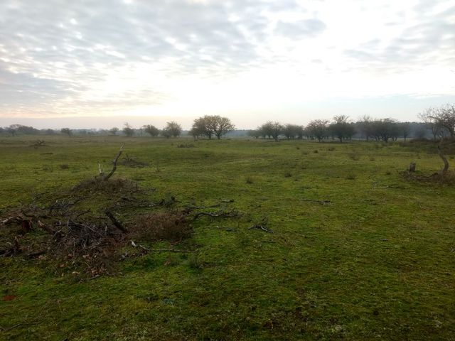 IMG_20201128_130715204_HDR.jpg