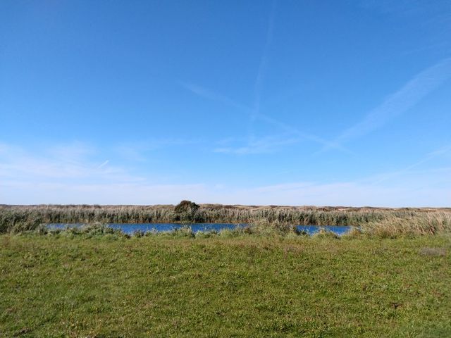 IMG_20200918_123727063.jpg