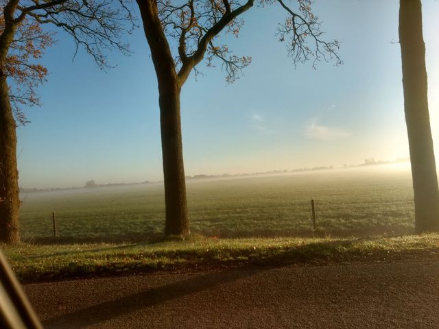 IMG_20201123_091337585_HDR.jpg