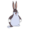 @bigchungus:perthchat.org