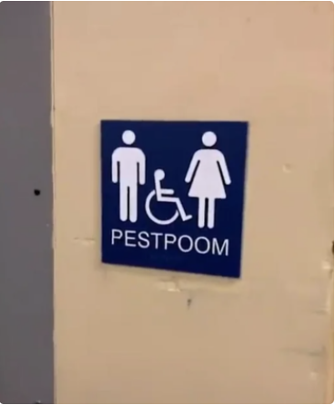 2021-01-16 230228.png