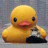 @duck.:privacytools.io