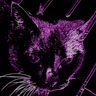 @purplepixel:psps.cat