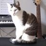 @rob:rghvdberg.ddns.net
