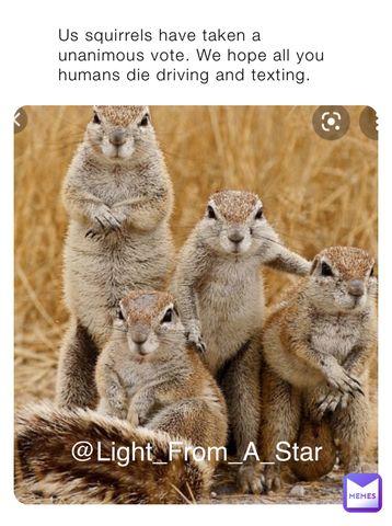 1628089752619.jpg