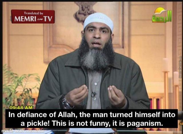 memri-tv-on-picklerick_o_3377699722009670.jpg