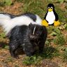 @softpigeones:skunk.i2phides.me