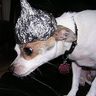 !vlnjqGLpLJlFmBSkfQ:matrix.org