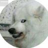@telegram_162981597:t2bot.io