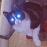 @telegram_73911953:t2bot.io