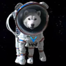 @_discord_604710370707505154:t2bot.io