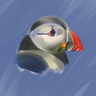 @_discord_125201713937252352:t2bot.io