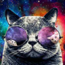 @_discord_693714189679853619:t2bot.io