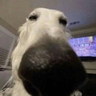 @_discord_286488720918708224:t2bot.io