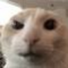 @_discord_943478689537089567:t2bot.io