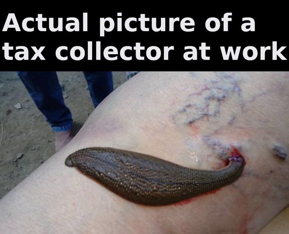actual-picture-of-a-tax-collector-at-work-complete.jpg