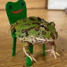 @_discord_318202777488850946:t2bot.io