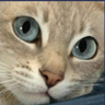 @_discord_395692657156030474:t2bot.io