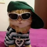 @_discord_758790522122141787:t2bot.io