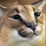 @_discord_476383522030878731:t2bot.io