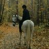 @telegram_370863882:t2bot.io