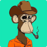 @_discord_893365437763555328:t2bot.io